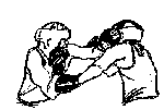 voimailu